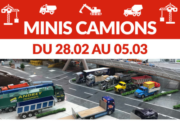 Minis Camions
